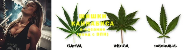 амф Алексин