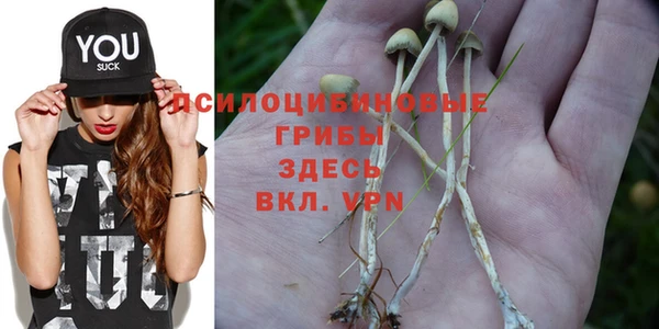 шишки Алзамай