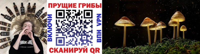 blacksprut рабочий сайт  купить наркотик  Анжеро-Судженск  Галлюциногенные грибы Magic Shrooms 