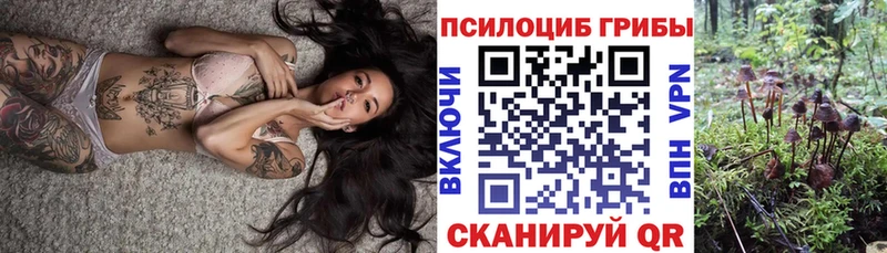 Галлюциногенные грибы мицелий Анжеро-Судженск