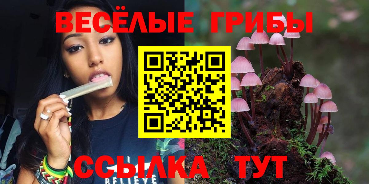 Псилоцибиновые грибы Magic Shrooms Анжеро-Судженск
